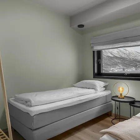 Large, Modern With Amazing Views And Heated Indoor Garage 特罗姆瑟